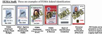 Image result for FEMA Badge