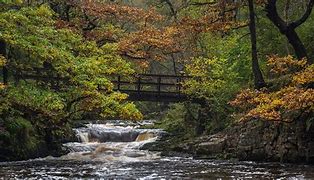 Image result for Afon Pyrddin