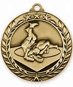 Image result for Wrestling Gold Medal