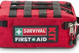 Image result for Aiding Survival