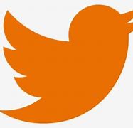 Image result for Orange Twitter Logo