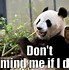 Image result for Panda Hug Meme