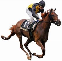 Image result for Horse Race Background