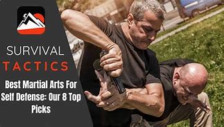 Image result for Most Effective Martial Arts