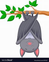 Image result for Bats Sleep Cartoon