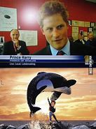 Image result for Harry the Prince of Whales