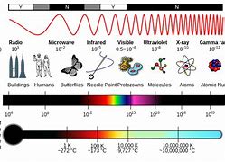 Image result for Millimetre