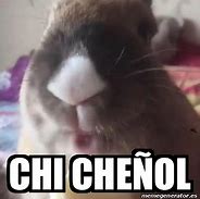 Image result for Chi Cheñol Meme