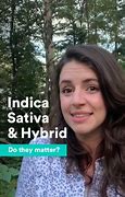 Image result for Difference Between Indica and Hybrid