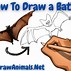 Image result for How to Draw a Bat Animal