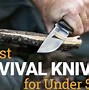 Image result for Fixed Blade Survival Knives