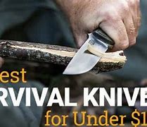 Image result for Cool Survival Knives