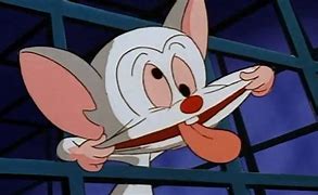 Image result for Pinky and the Brain Snowball