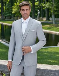 Image result for Light Grey Suits for Men