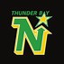 Image result for Thunder Bay Local Bands
