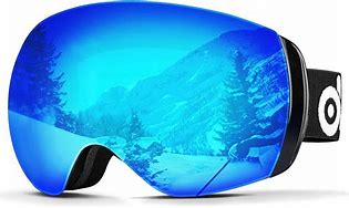 Image result for Quiksilver Snow Goggles