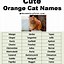 Image result for Cute White Cat Names