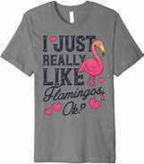 Image result for Flamingo Shirt Roblox