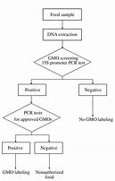 Image result for GMO Process Diagram