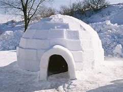 Image result for Igloo Building