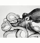 Image result for Octopus Eyes Draw