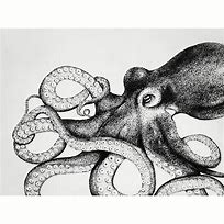 Image result for Octopus Ink Drawing
