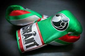 Image result for Boxing HD