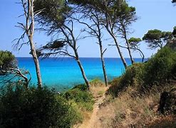 Image result for Ultimo Mallorca