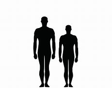 Image result for How Tall Is 6 Foot
