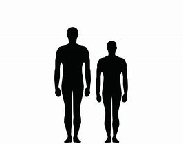 Image result for Is 6 Foot 5 Tall