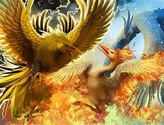 Image result for Beautiful Phoenix