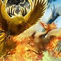 Image result for Pheonix