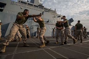 Image result for Marine Corps Martial Arts