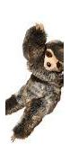 Image result for Sloth Plush Toy with Long Arms and Legs