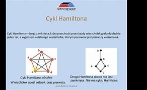 Image result for cykl_hamiltona