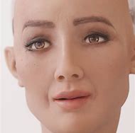 Image result for Yuil Robot