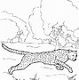 Image result for Printable Cheetah Print Cartoon