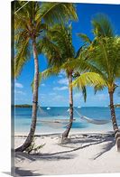 Image result for Guana Sunset Beach