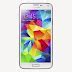 Image result for Harga Handphone Samsung Galaxy
