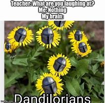 Image result for Teacher What Are You Laughing at Meme