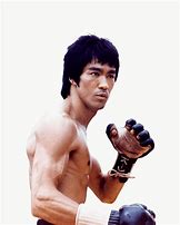 Image result for jeet kune do