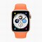 Image result for Apple Watch Series 5 44Mm Bands for Men