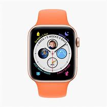 Image result for Apple Watch Series 5 Functions