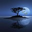 Image result for Peaceful Night Scene
