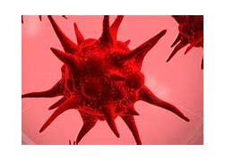 Image result for Plague Inc. Fungus