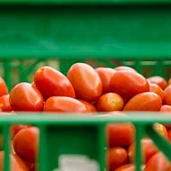Image result for Big Mama Hybrid Tomato