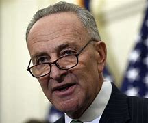 Image result for Charles Schumer