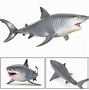 Image result for Lifelike Baby Shark