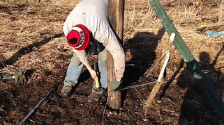 Image result for Barb Wire Fence Building