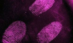 Image result for Fingerprints Spectar
